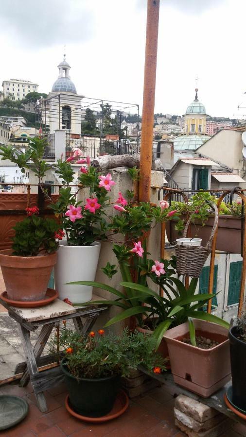 Il Geco Casa de hóspedes *
